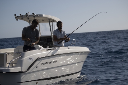 parker 660 new boat for sale - malahide boats  image 2